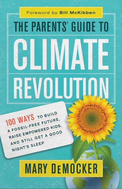 Climate Revolution book cover